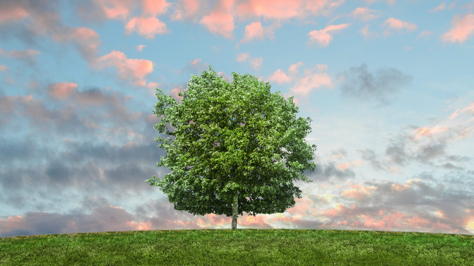 Nos pasamos a la energía verde